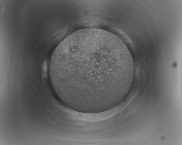 X0000116860026201001121250