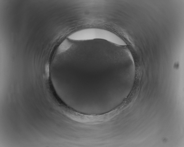 X0000116860027201001121250