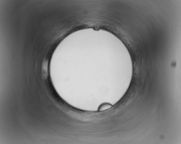 X0000116860028201001121250