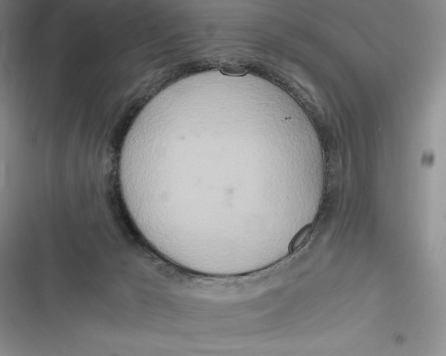 X0000116860029201001121250