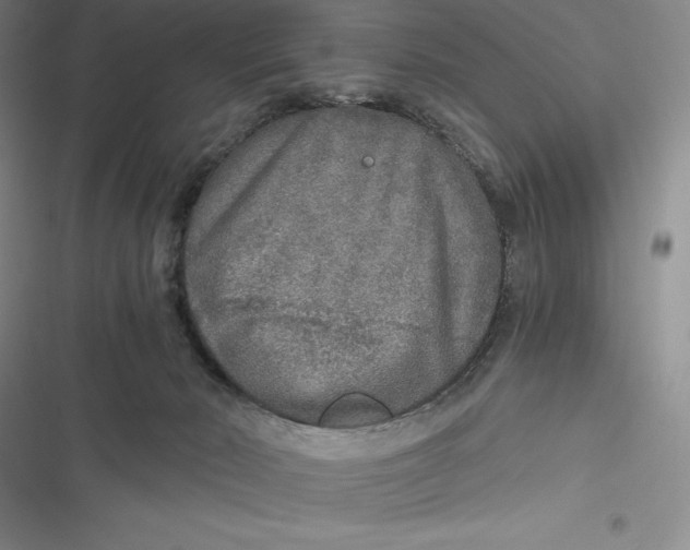 X0000116860030201001121250