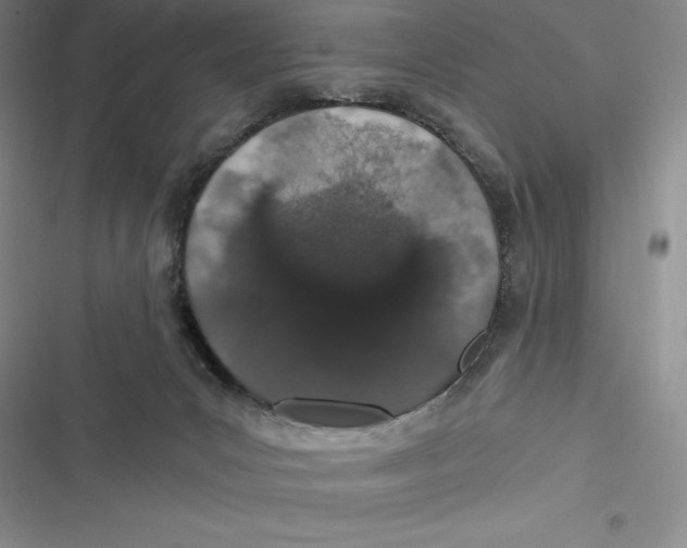 X0000116860031201001121250