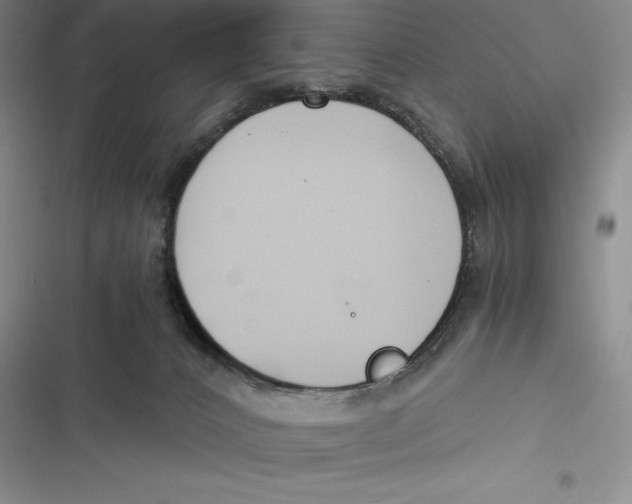 X0000116860032201001121250