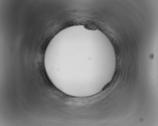 X0000116860033201001121250