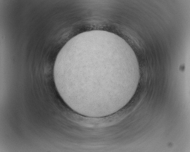 X0000116860034201001121250