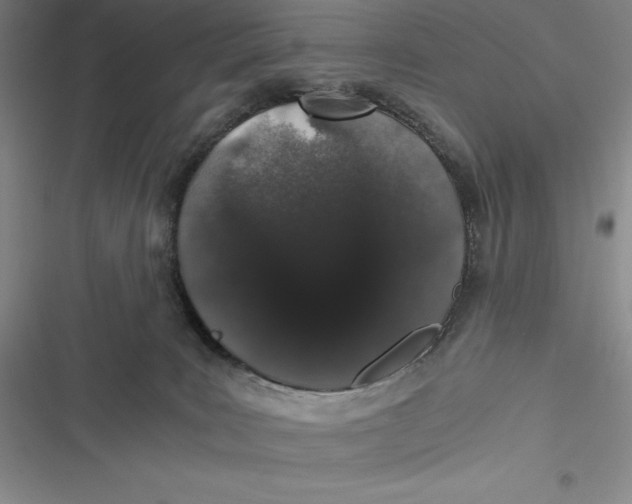 X0000116860035201001121250