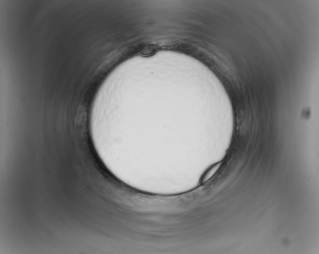 X0000116860036201001121250