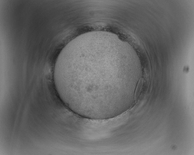 X0000116860037201001121250