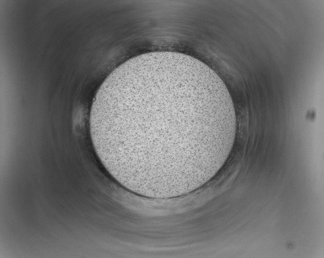 X0000116860038201001121250