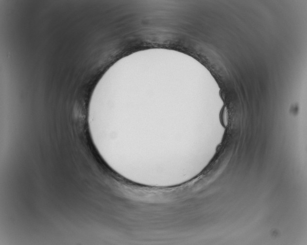 X0000116860040201001121250