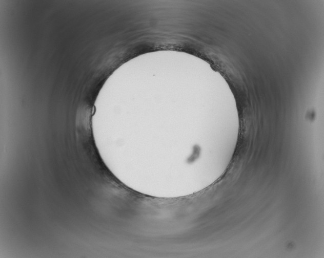 X0000116860041201001121250