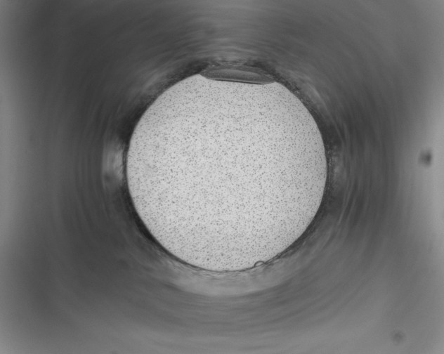 X0000116860042201001121250