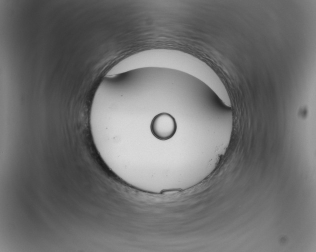 X0000116860043201001121250