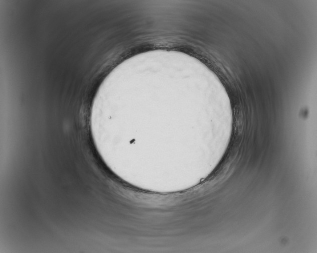 X0000116860044201001121250