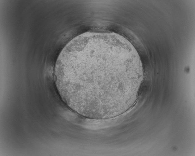 X0000116860045201001121250