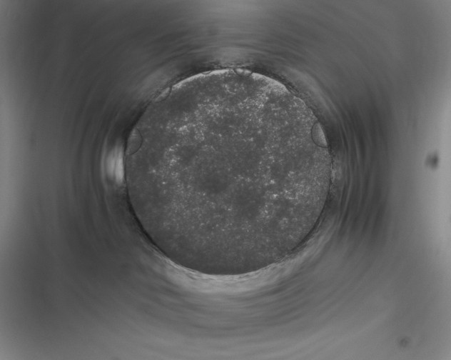 X0000116860046201001121250