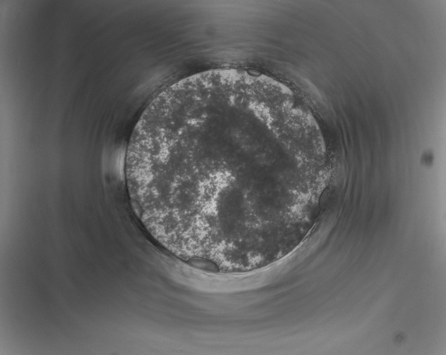 X0000116860047201001121250