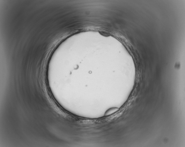 X0000116860049201001121249