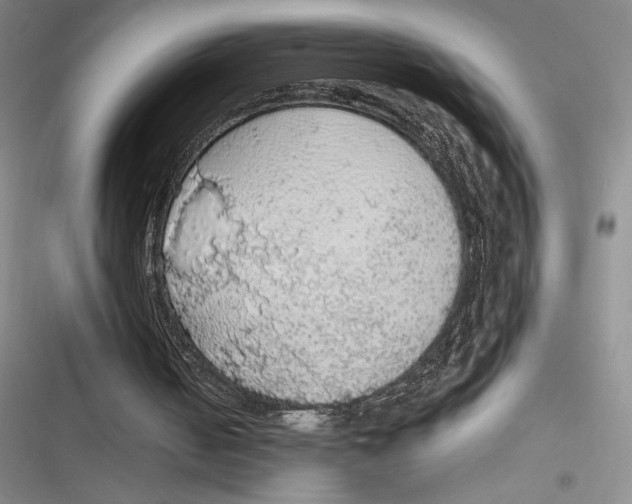 X0000116860050201001121249