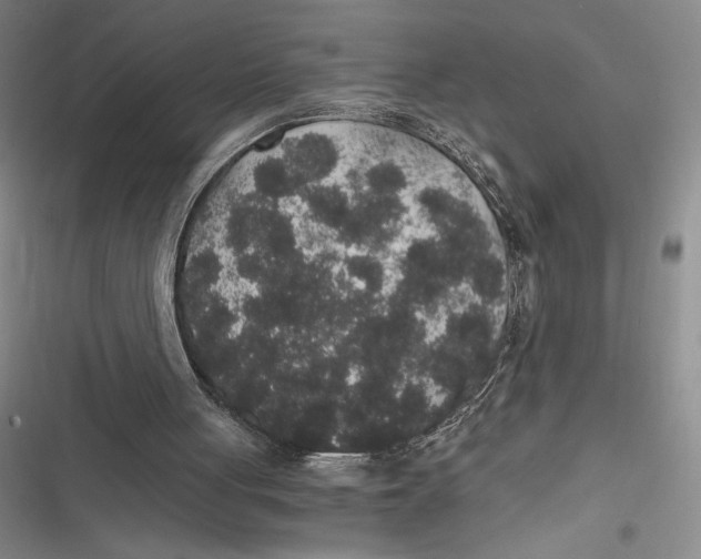 X0000116860051201001121249