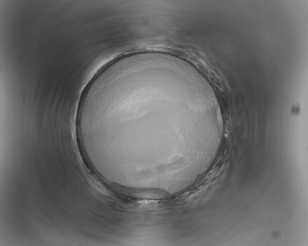 X0000116860052201001121249