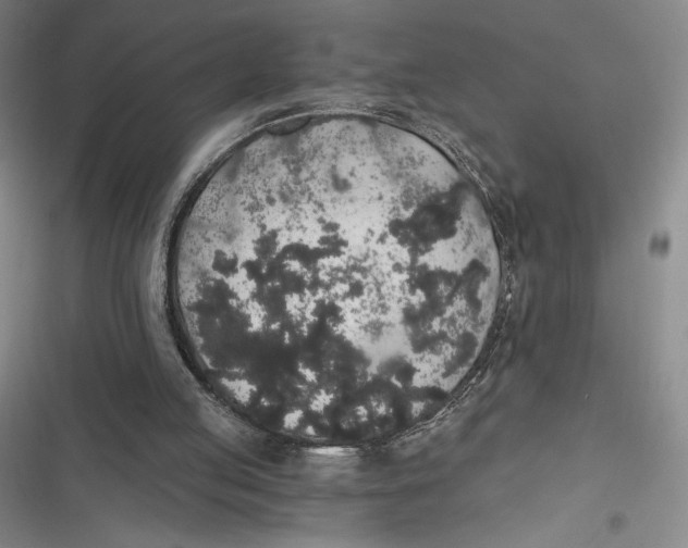 X0000116860053201001121249