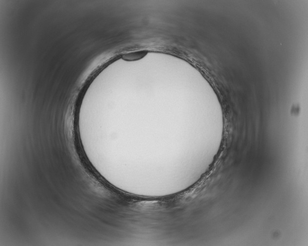 X0000116860054201001121249