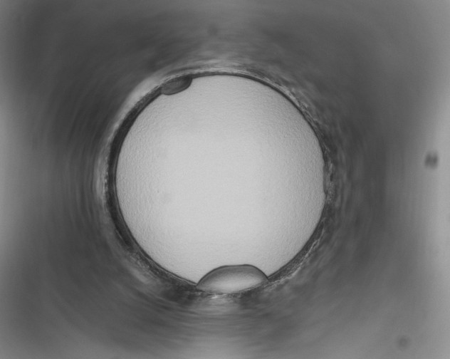 X0000116860056201001121249