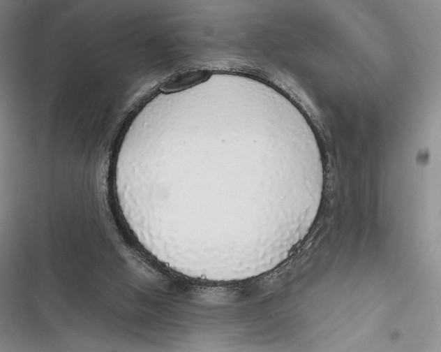 X0000116860058201001121249