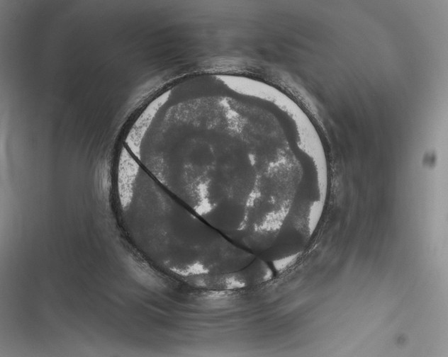 X0000116860059201001121249