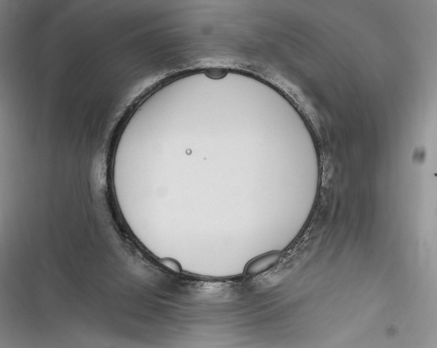 X0000116860060201001121249