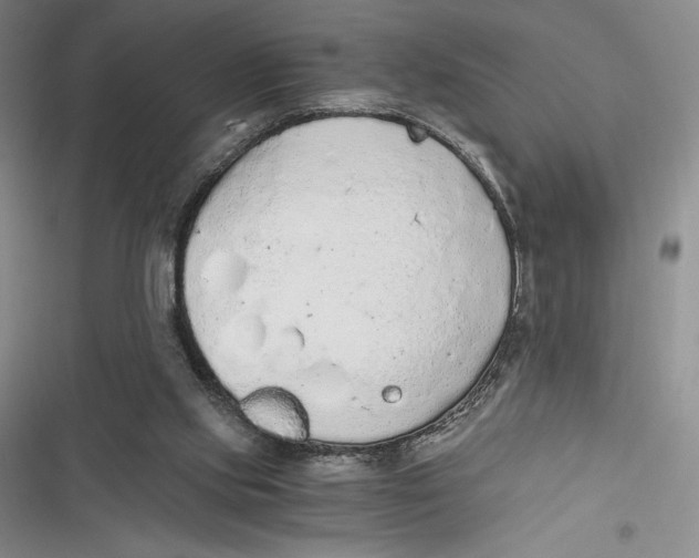 X0000116860061201001121249