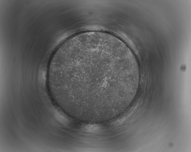 X0000116860063201001121249