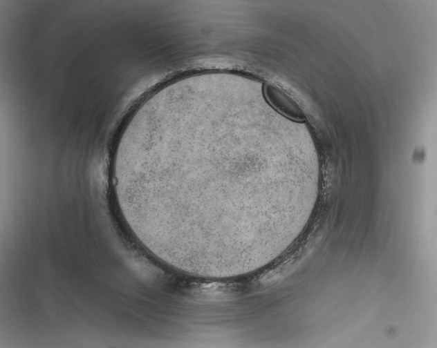 X0000116860064201001121249