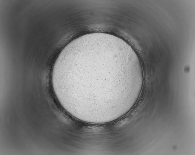 X0000116860065201001121249