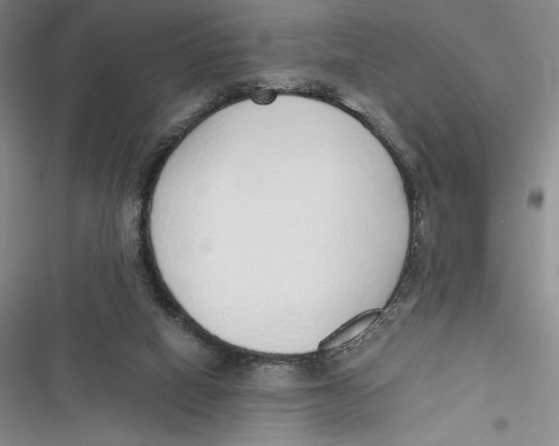 X0000116860066201001121249