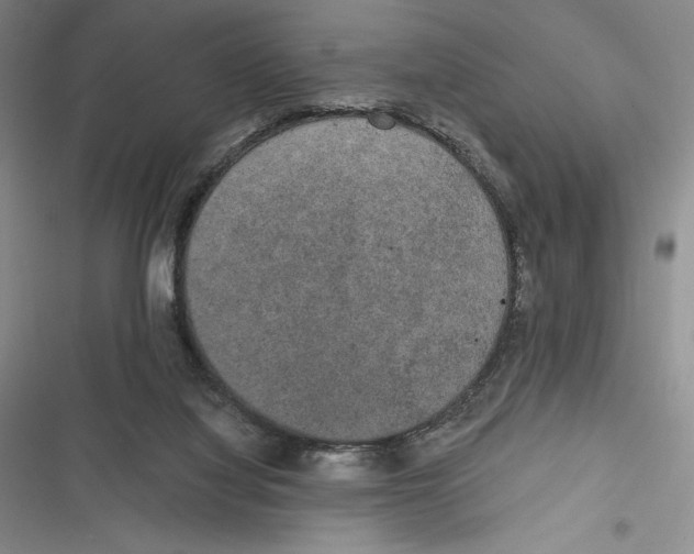 X0000116860068201001121249