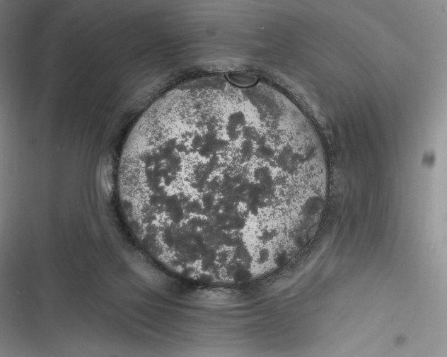 X0000116860069201001121249