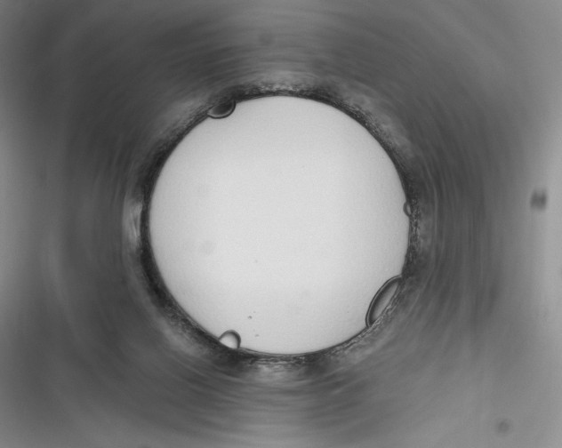 X0000116860070201001121249