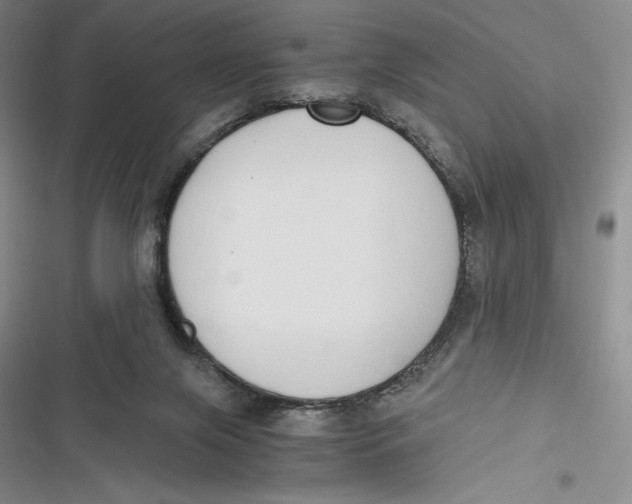 X0000116860071201001121249