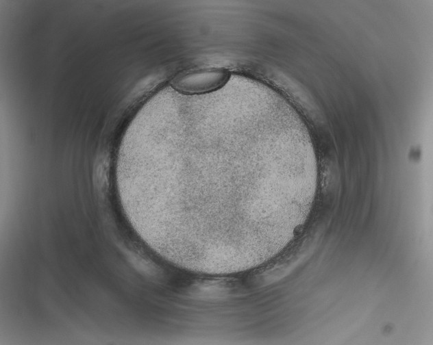 X0000116860072201001121249