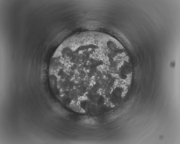 X0000116860073201001121249