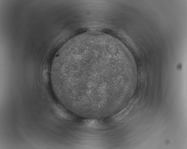 X0000116860074201001121249