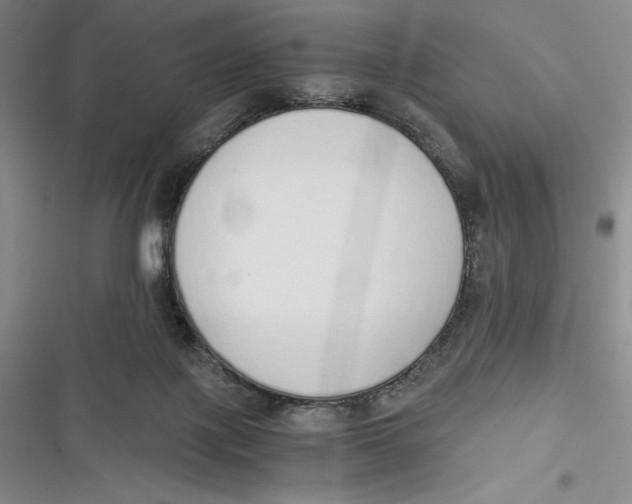 X0000116860075201001121249