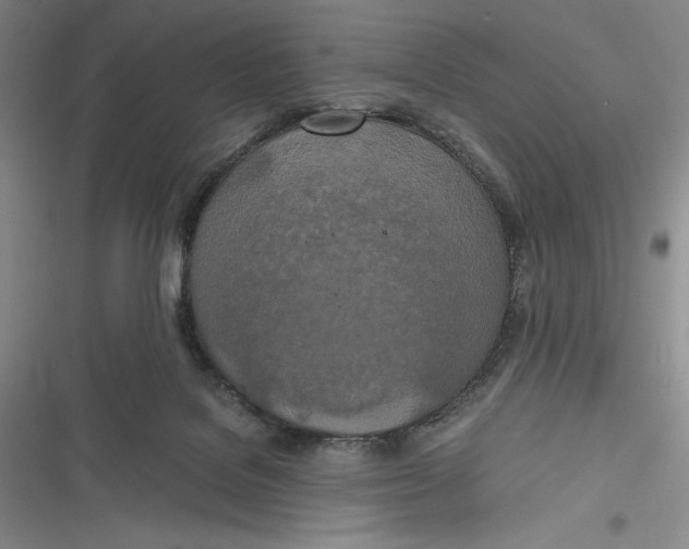 X0000116860076201001121249