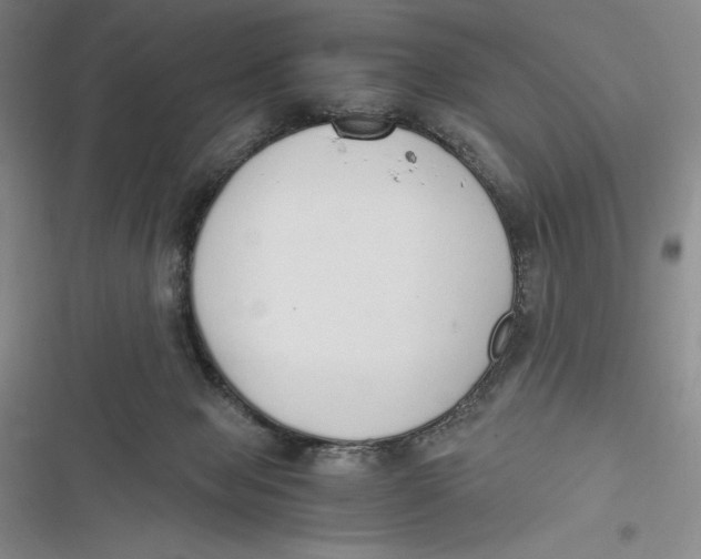 X0000116860077201001121249