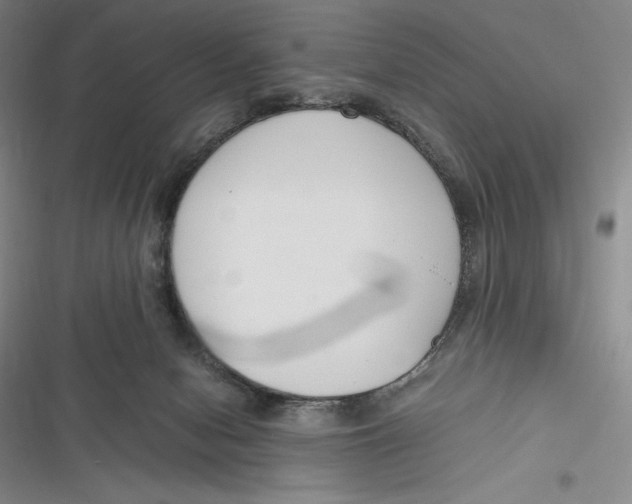 X0000116860078201001121249