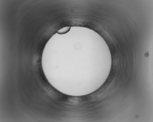 X0000116860079201001121249