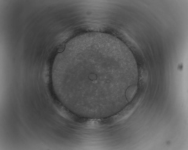 X0000116860080201001121249