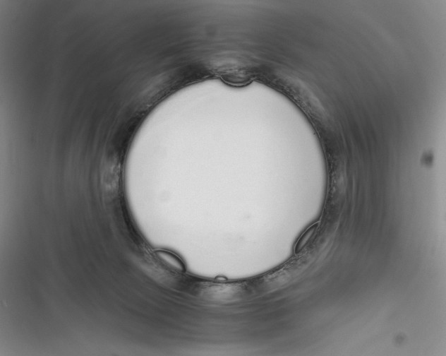 X0000116860081201001121249